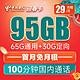 中国电信 迎春卡 29元月租（65G通用流量+30G定向流量+100分钟通话）激活送40 长期套餐