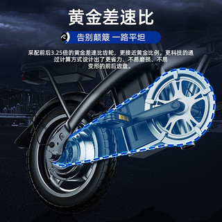 新日（Sunra）电动车折叠自行车锂电池助力车成人单车小型男女电瓶车代步新国标代驾车 豪华版-助力-150公里-8重减震-汽车电芯