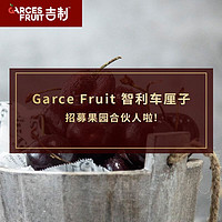 7FRESH Garce Fruit 智利车厘子果树合伙人 限量10棵