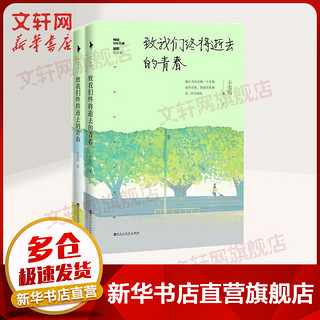 致我们终将逝去的青春.插图纪念版（套装共2册）