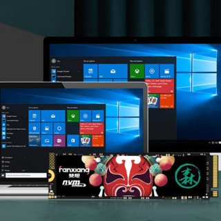 FANXIANG 梵想 国潮系列 S500 PRO NVMe M.2 固态硬盘（PCI-E3.0）