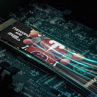FANXIANG 梵想 国潮系列 S500 PRO NVMe M.2 固态硬盘 256GB（PCI-E3.0）