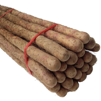 怀府人家 铁棍山药 70cm 2.5kg