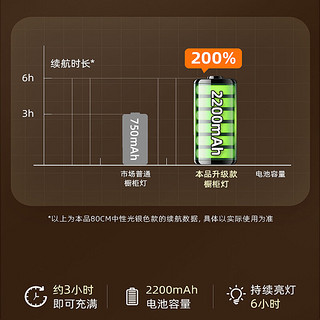 顾家照明led橱柜灯带充电池开门即亮智能人体感应厨房衣柜装饰酒柜条灯无线免开槽自粘磁吸 充电款60cm白光（人体感应）