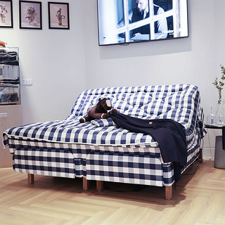 Hastens ADJUSTABLE 经典格纹可调节床 蓝白格 90*200cm