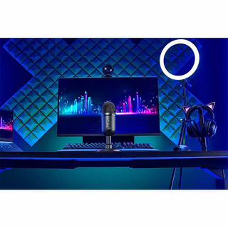 雷蛇（RAZER） SEIREN V2 X 电容式麦克风超心形拾音模式麦克风 内置减震器集成数字限制