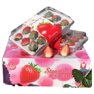 勿语 四川大凉山草莓  4盒 中大果礼盒装（单果12克+）
