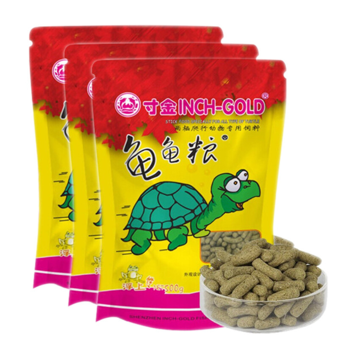 钻纹龟为什么能受到青睐?不止是好看,还因为互动性好