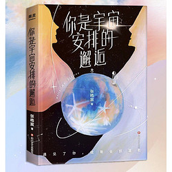 《你是宇宙安排的邂逅》