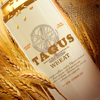 TAGUS 泰谷 小麦白啤酒 500ml*24听