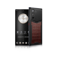 VERTU 纬图 METAVERTU 5G手机 18GB+1TB 琥珀棕高定款