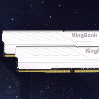 KINGBANK 金百达 银爵系列 DDR5 5600MHz 台式机内存 马甲条