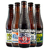 新西兰进口啤酒 TUATARA 大蜥蜴系列精酿啤酒 大蜥蜴五种口味一瓶330ml*5瓶