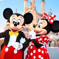 DISNEYLAND RESORT 迪士尼乐园度假区 上海爱莎堡酒店/迪堡酒店/迪客湖枫1晚套餐（含上海迪士尼团队成人票2张+班车接送）
