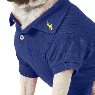 RALPH LAUREN 拉尔夫·劳伦 HMPOPAP56320024 狗狗polo衫 蓝色 M