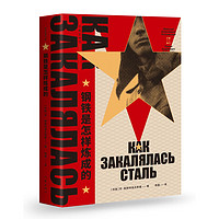 《钢铁是怎样炼成的》(作家出版社)