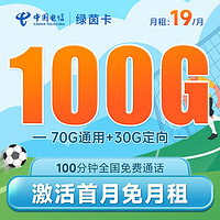 中国电信 绿茵卡 19元月租（100G全国流量+100分钟通话）长期套餐 激活送40