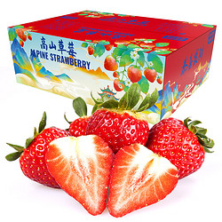 大凉山 四川大凉山奶油草莓 4盒 单果12g 净重2.3斤以上 露天草莓礼盒装 新鲜水果