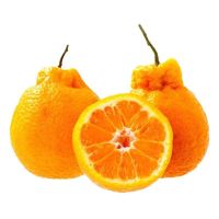 水果蔬菜 不知火丑橘 净重4.5斤超大果100mm+