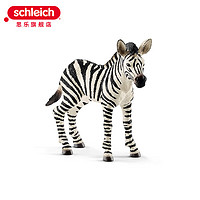 PLUS会员：Schleich 思乐 仿真动物模型 小斑马