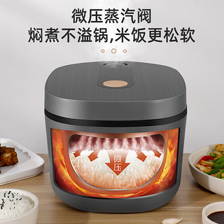 CHANGHONG 长虹 电饭煲电饭锅家用3L CFB-30RDB智能款