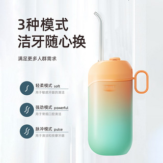 蒂欧尼电动冲牙器便携式牙齿正畸水牙线伸缩洗牙器牙结石家用神器 经典款-白色