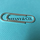 Tiffany&Co. TIFFANY & CO.蒂凡尼925银网红书签回形针别针 成功人士配备创意礼物 2.5英寸长