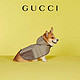 GUCCI 古驰 [礼物][新款]Gucci古驰宠物GG外套