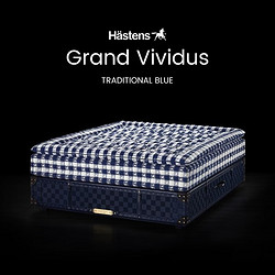Hastens 海丝腾Grand Vividus手工缝制天然材质瑞典进口定制独立床 蓝白印花 183*213cm
