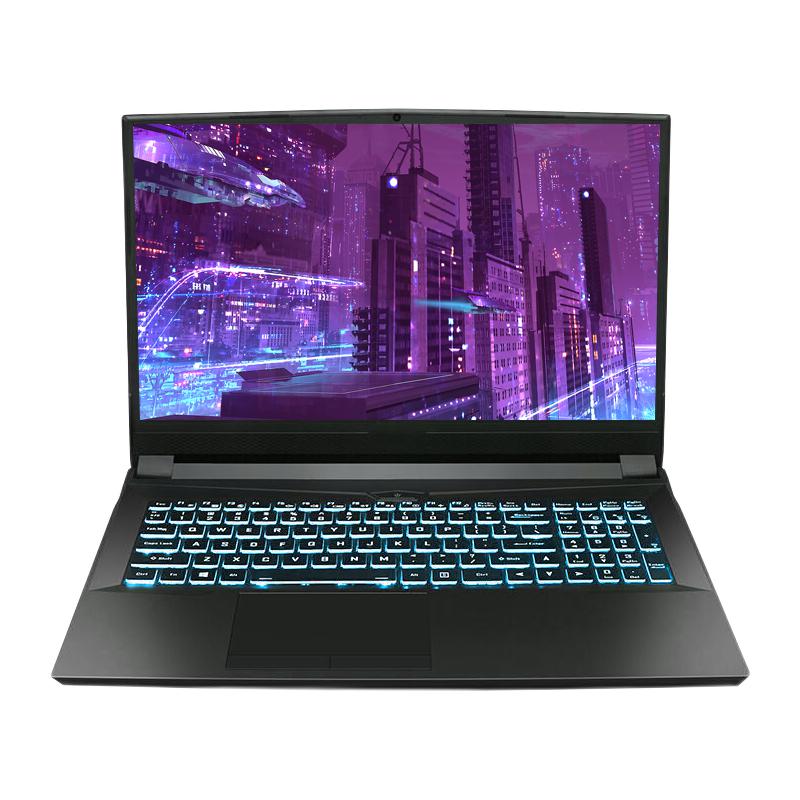 旗舰高端爆款领券立减600】火影/FireBat T7G/T9X R9-5900HX RTX3070