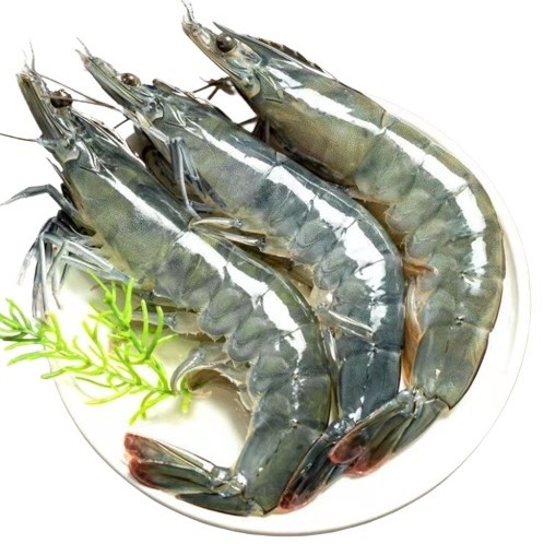 美苹 青岛大虾 单只20-22cm 2kg