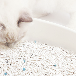 CATTARO 猫太郎 豆腐膨润土混合猫砂