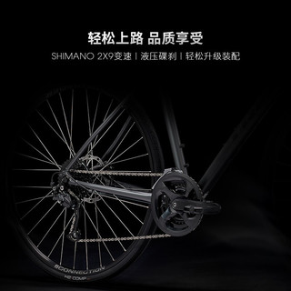 TREK 崔克 FX2 公路自行车 18速 700x32C
