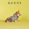 GUCCI 古驰 [圣诞礼物][新款]Gucci古驰宠物GG外套