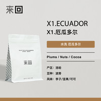 来回咖啡 X1.厄瓜多尔手冲咖啡豆清新甜感单品浅烘精品可磨粉200g