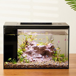 起源纪 智能鱼缸Pro 超白玻璃中小型15L桌面鱼缸 生态水族箱(不含造景)