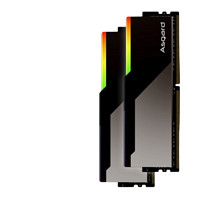 Asgard 阿斯加特 博拉琪 DDR5 6800MHz 台式机内存条 32GB(16G*2) 灯条