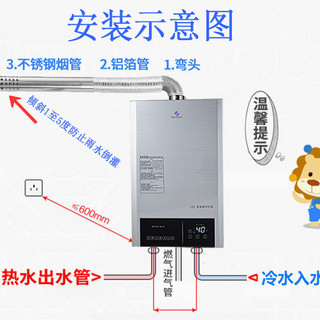 申花家用燃气热水器天然气液化气煤气恒温平衡式浴室洗澡强排即热