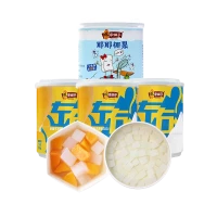 林家铺子 左右双色罐头3罐+椰果1罐共800g