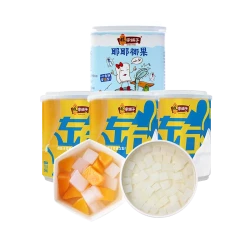 林家铺子 左右双色罐头3罐+椰果1罐共800g