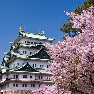 刚需可入！北京送签 日本自由行个人旅游五年多次签证 可简化办理