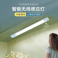 QIFAN 启梵 【历史最低】人体感应灯带 白光 56cm