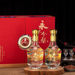 WULIANGYE 五粮液 52度 500mL 2瓶