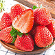 枝头春 99红颜草莓  1斤大果礼盒装（15-18g）