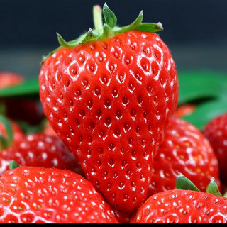 美得乐 红颜草莓