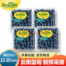 怡颗莓 云南蓝莓 125g/盒 中果4盒