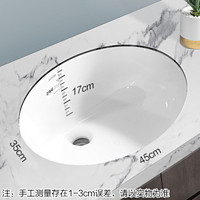 ARROW 箭牌卫浴 AE4013 嵌入式陶瓷洗面盆 椭圆形台下盆