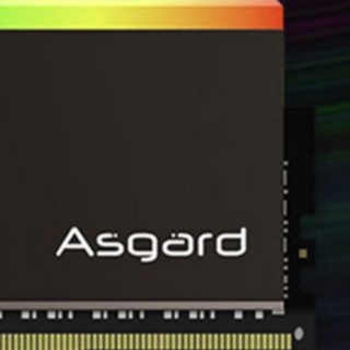 Asgard 阿斯加特 博拉琪 DDR5 6600MHz RGB 台式机内存 灯条 黑色 32GB 16GBx2