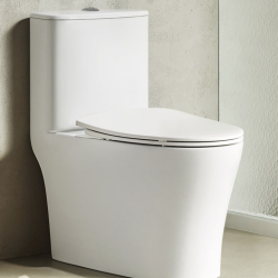 huida惠达plus会员huida惠达hdc6360连体式马桶305mm坑距