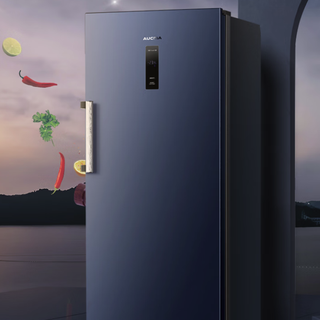 AUCMA 澳柯玛 BD-191WNE 冰柜 191L 晶韵蓝